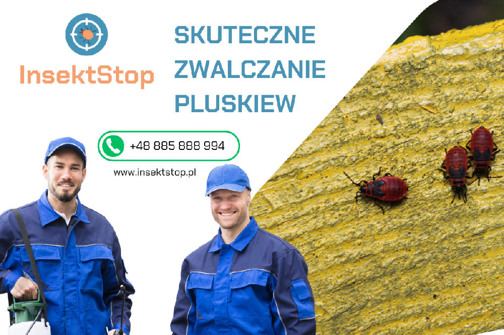 insektstop.pl dezynsekcja odpluskwianie mieszkania