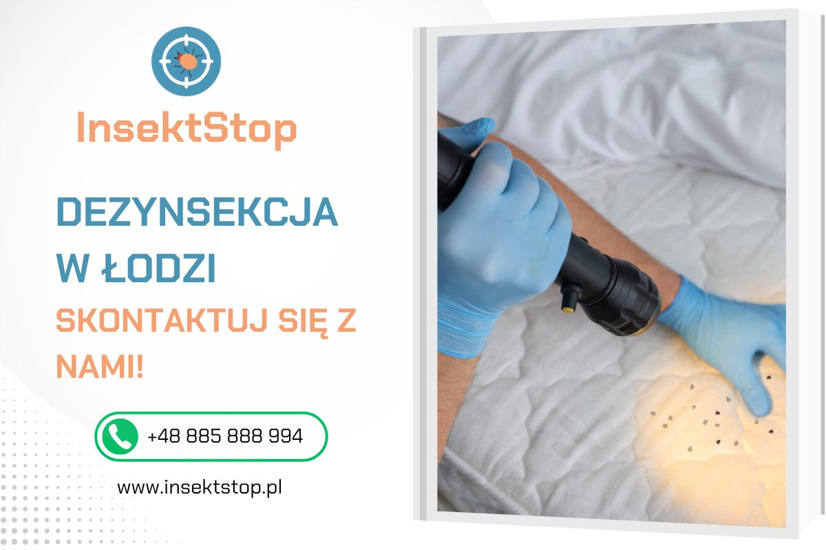 dezynsekcja w łodzi